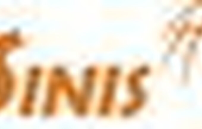 krepsinisnet logo