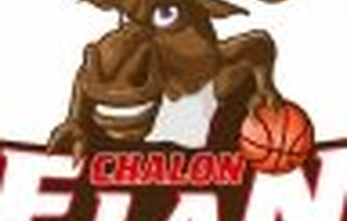 Elan logo 12
