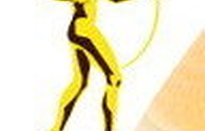 siauliai logo 2007 Krepsinis.net