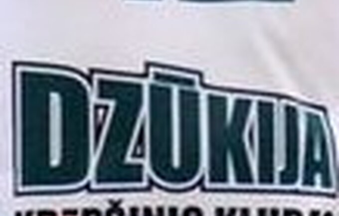 Brazdauskis Dmitrijus Radlinskas, Fotodiena.lt